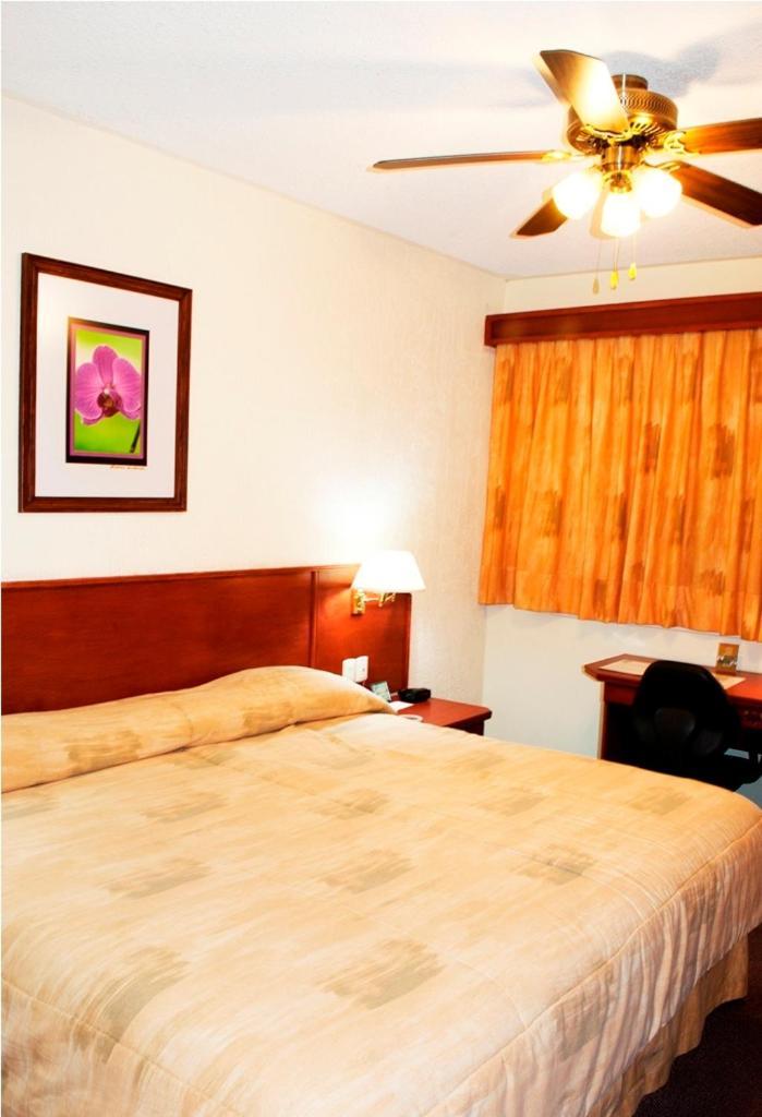 Hotel Marcella Clase Ejecutiva Morelia Exteriör bild